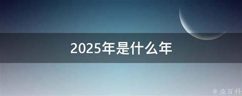 2025是什么年